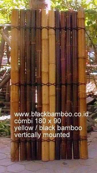 BAMBOO FENCE BLACK AND GOLD